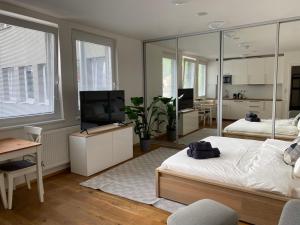 sypialnia z łóżkiem, telewizorem i lustrem w obiekcie Vila Vinice w Pradze