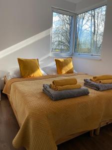 two beds sitting next to each other in a room at Koziula - Domki na Kaszubach in Przywidz
