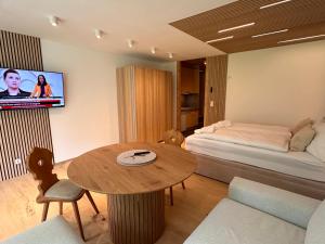 TV a/nebo společenská místnost v ubytování Apartment mit Indoor Pool und Garten