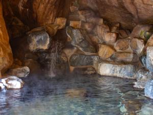 高山市にある日本の宿　ひだ高山　倭乃里の滝のある洞窟の水のプール