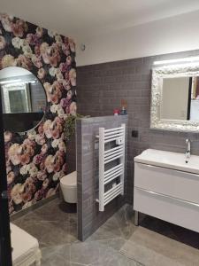 ein Badezimmer mit Toilette, Waschbecken und Spiegel in der Unterkunft Appartement proche aéroport & indret in Bouguenais