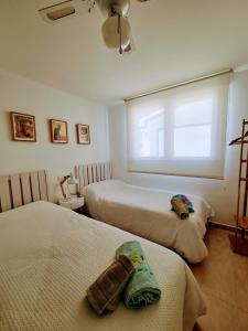 Un dormitorio con dos camas y una ventana. en Oliva Moon, en Oliva 46 fotos más