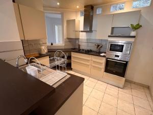 eine Küche mit Küchengeräten aus Edelstahl und einer schwarzen Arbeitsplatte in der Unterkunft Appartement centre-ville très spacieux avec 4 chambres in La Tour-du-Pin + 12 Fotos