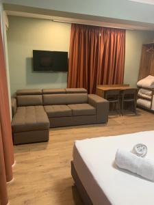 Hotel Dodona TV 또는 엔터테인먼트 센터