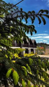 Zahrada ubytování RUBEL APARTHOTEL&SPA