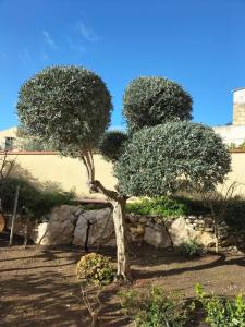 Gallery image of Villa Priscilla in Custonaci