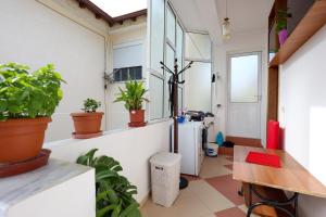 una habitación con plantas en la pared y una mesa en Guesthouse Berati, en Berat 17 fotos más
