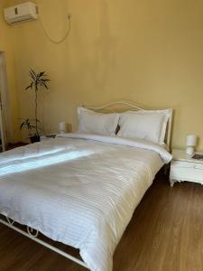 Letto o letti in una camera di Green ToniC Hostel