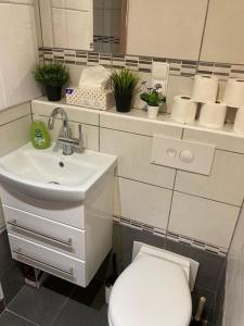 Fotografie z fotogalerie ubytování Apartment STAR Brno with terrace 3 v destinaci Komín