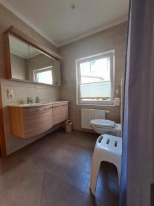 a bathroom with a sink and a toilet and a mirror at Ferienhaus Marianne in Zinnowitz +1 photo