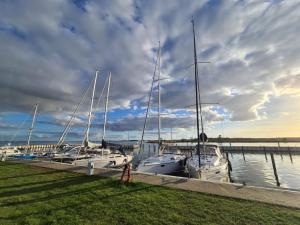 a group of boats are docked at a dock at Ferienhaus Marianne in Zinnowitz
