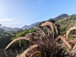 Paesaggio naturale nelle vicinanze dell'affittacamere