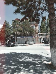 a large building with a tree in front of a street at Bar Hotel Tirana in Kukës