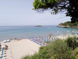 a beach with chairs and umbrellas and people on it at Sant'Alfonso Rooms in Marina di Camerota
