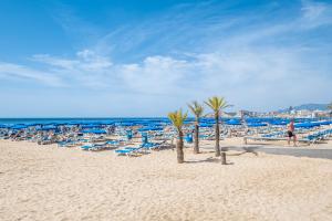 Plaża w apartamencie lub w pobliżu