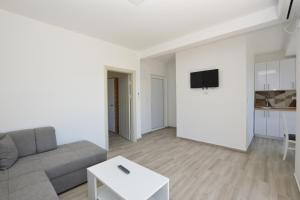 TV a/nebo společenská místnost v ubytování Apartmani Tomic Igalo