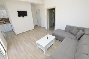 TV a/nebo společenská místnost v ubytování Apartmani Tomic Igalo