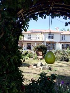 a house with a large green ball in front of it at Le Maki on 54 in Johannesburg