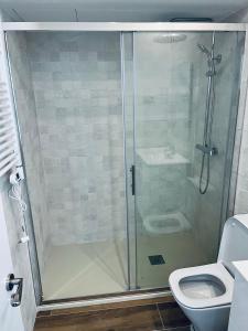 y baño con ducha y aseo. en BERNABEU/ C.UNIVERSITARIA APARTMENTS, en Madrid