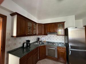 Kuchyňa alebo kuchynka v ubytovaní Apartment Tea Katnic