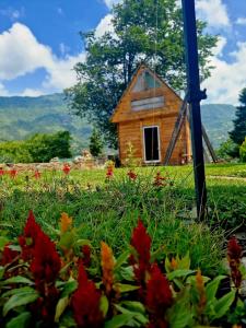 a small house in the middle of a field of flowers at wooden house in Koromkhet'i