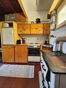 Kuchyň nebo kuchyňský kout v ubytování Blockhaus Birentobel