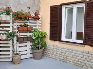 Zahrada ubytování Apartment Križanec