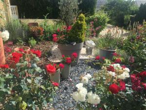 Ein Garten an der Unterkunft Mille et Une Bulles 51