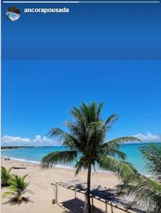 a palm tree on a beach with the ocean at Pousada Ancora in Vera Cruz de Itaparica +27 photos