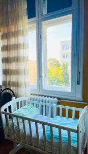 una culla in una stanza con finestra di Central with Parking 3 Bedroom Apartment a Novi Sad
