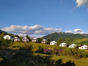 a row of houses on a hill with mountains in the background at Kolochava Eco Resort in Kolochava
