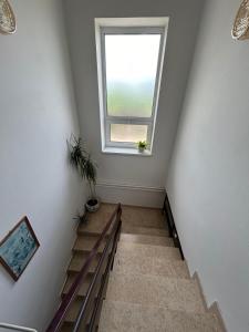 Fotografie z fotogalerie ubytování Apartment Ljubica v destinaci Crikvenica