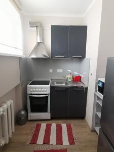 Kuchyň nebo kuchyňský kout v ubytování Seersant apartment studio
