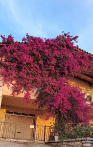 a bunch of purple flowers on the side of a building at AGAPI Holiday House in Vouníon +3 photos