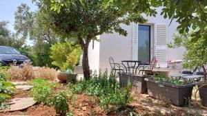 un giardino con tavolo, sedie e un'auto di All'ombra dell'ulivo a Monopoli