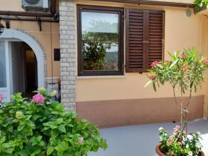 Zahrada ubytování Apartment Križanec