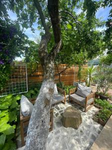 une terrasse avec un arbre, des canapés et un rocher dans l'établissement Casa Mediterana, à 2 Mai
