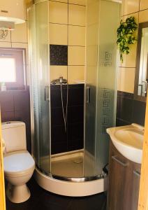 a bathroom with a shower and a toilet and a sink at Domek letniskowy Magda in Łeba +14 photos