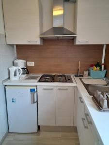 Kuchyňa alebo kuchynka v ubytovaní Apartment Križanec + 23 fotografií
