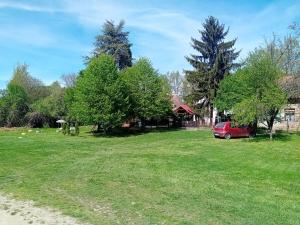 Giardino di Apartmani Dunav Apatin