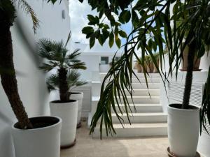 Galeriebild der Unterkunft Villa Hafa in Tangier