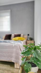 a bedroom with a bed and a potted plant at Villa Sazanka with private pool in Kamenari +60 photos