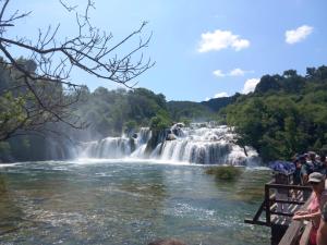 Příroda nedaleko bed and breakfast + 7 fotografií