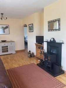 un soggiorno con camino e televisione di Mountain retreat - bright & spacious 2 bed home with large garden a Schull
