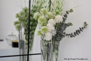 Fotografie z fotogalerie ubytování Studio apartman CENTAR v destinaci Ðurđevac