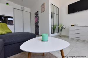 TV a/nebo společenská místnost v ubytování Studio apartman CENTAR