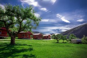 a field of green grass with houses and a tree at Pluscamp Sandvik in Gaupne