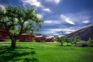 a field of green grass with houses and a tree at Pluscamp Sandvik in Gaupne