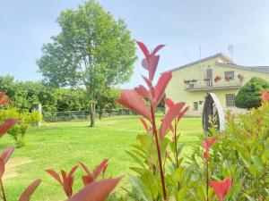 Un jardín fuera de Splendida villa con piscina