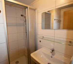 a bathroom with a shower and a sink and a mirror at Tanzalm Jerzens in Jerzens